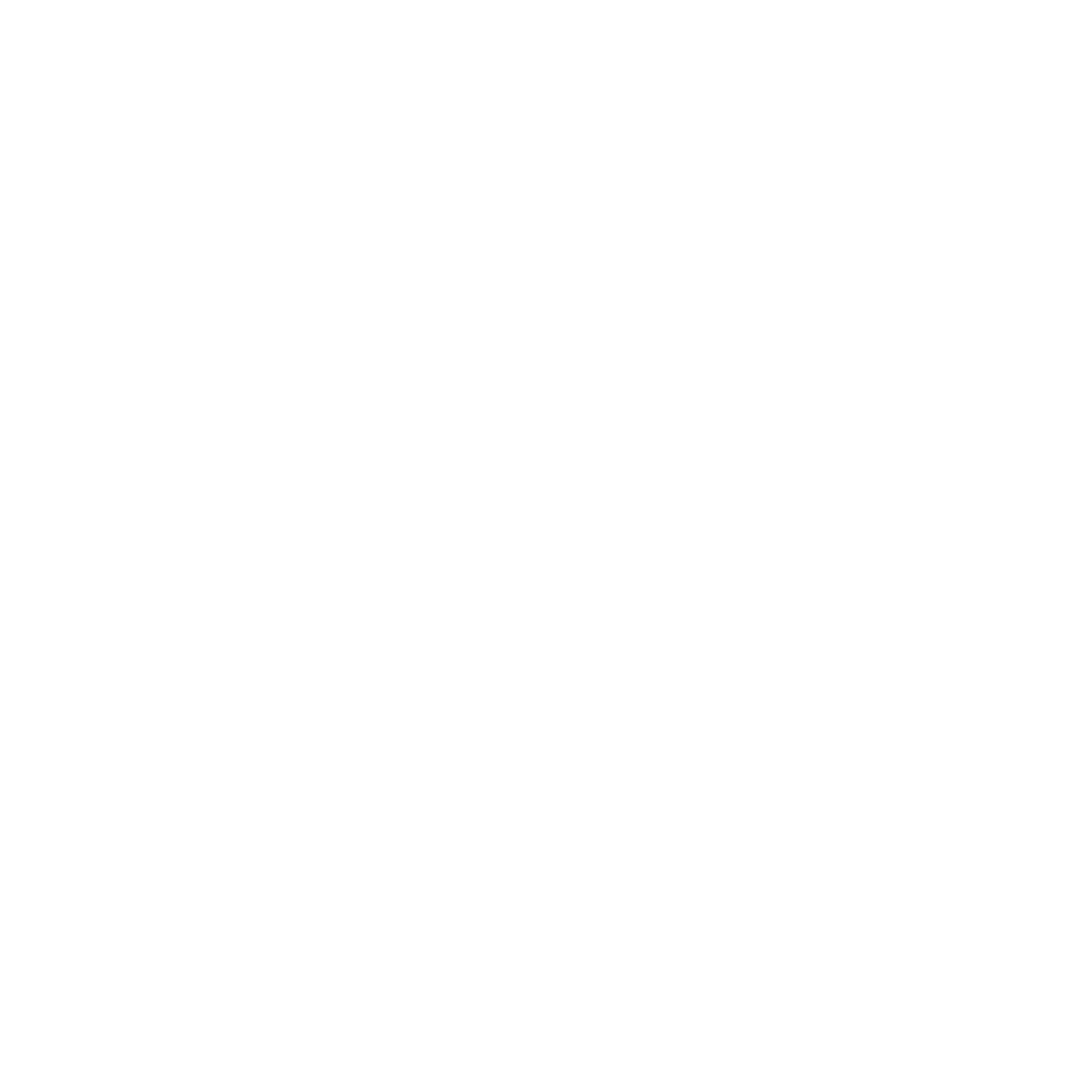 SA - Vision 2030